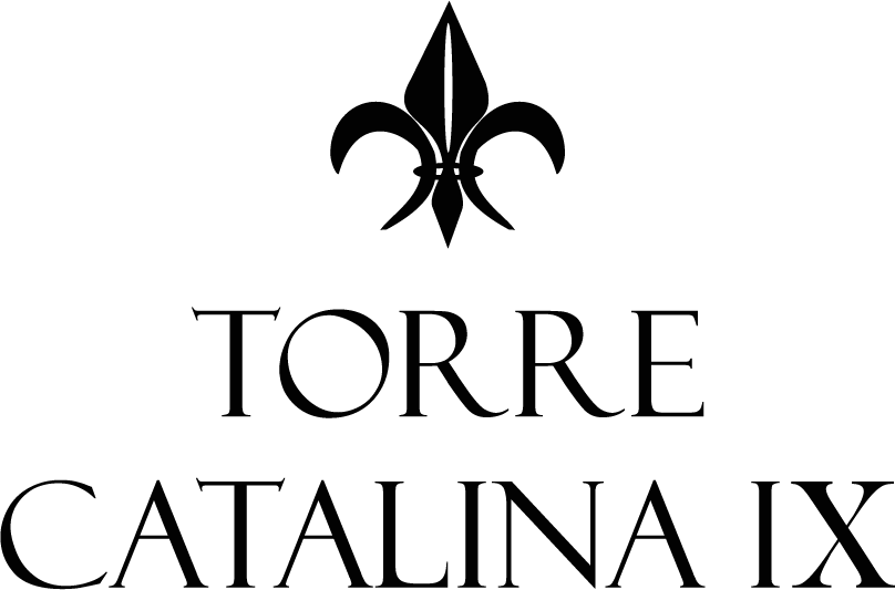 Logo Catalina9 Negro